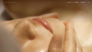 安吉萊克斯有限公司